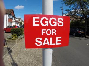 eggs farm sign
